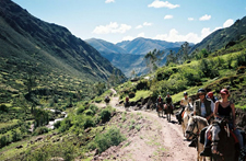 Peru-Cusco-Machu Picchu  Pony Express